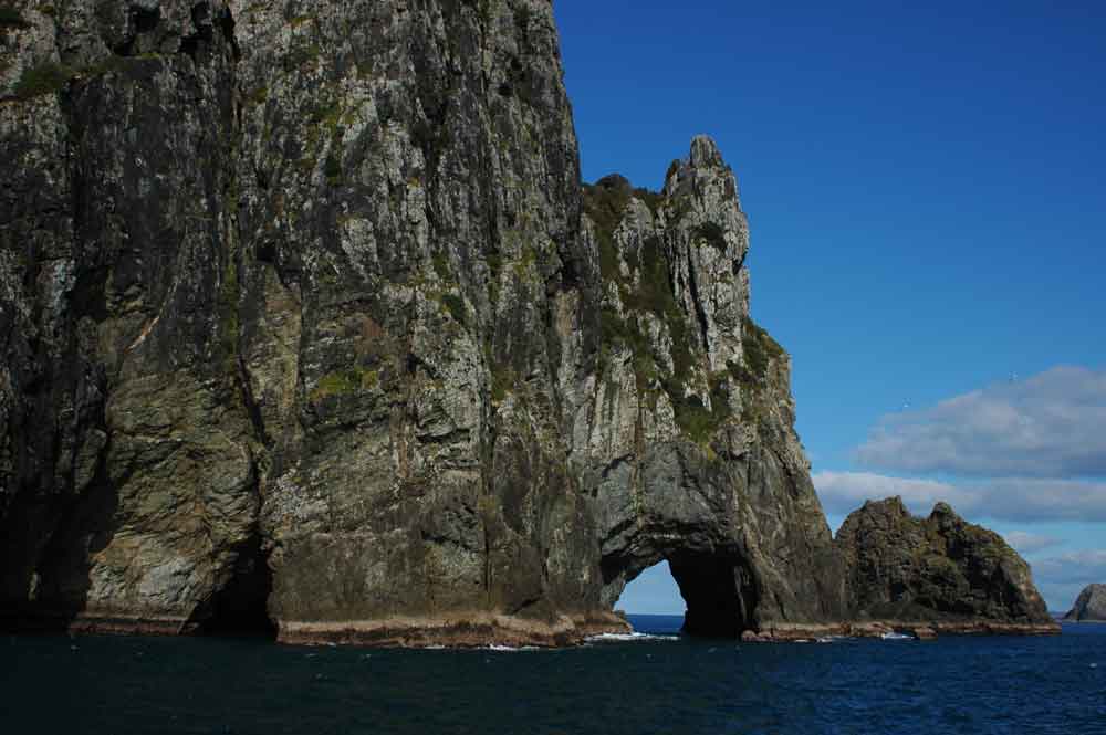 27 - Nueva Zelanda - Bay of Islands, Motukokako